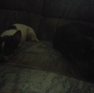 Meet your Posher, Will